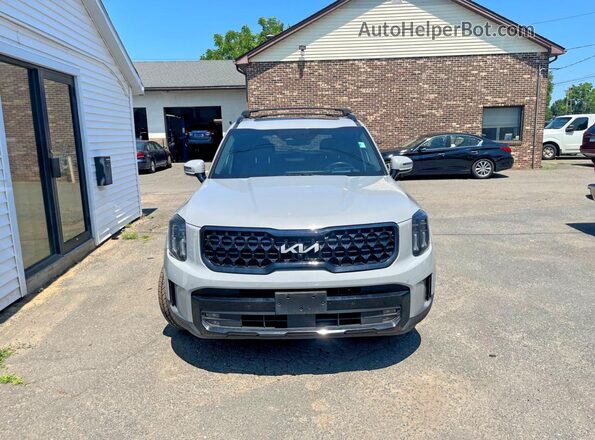 5XYP5DGC7RG423608 2024 KIA TELLURIDE Gray Հետևի տեսք