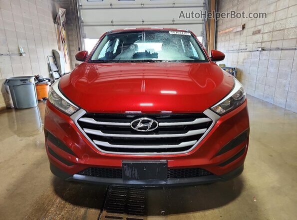 KM8J2CA43JU801576 2018 HYUNDAI TUCSON Red Rear view