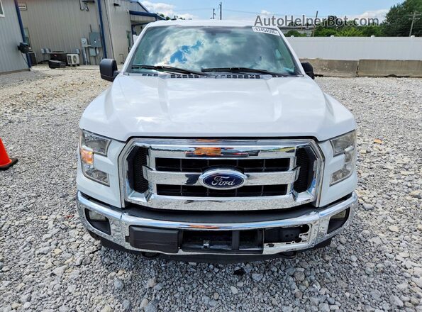 1FTEW1EG6HKE39753 2017 FORD F150 White უკანა ხედი