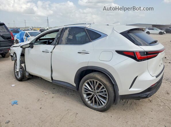 JTJGKCEZ3S2049909 2025 LEXUS NX White Задня права чверть