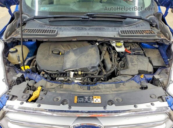 1FMCU0GD2HUD04201 2017 FORD ESCAPE Blue VIN կոդի պիտակի տեսք