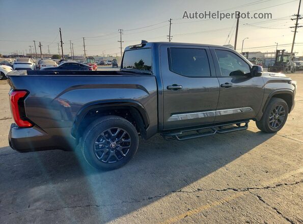 5TFNC5DB9SX103272 2025 TOYOTA TUNDRA Gray Առջևի աջ