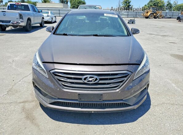 5NPE34AF4GH431302 2016 HYUNDAI SONATA Gray Rear view
