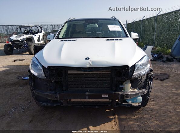 4JGDA5HB6JB139777 2018 MERCEDES-BENZ GLE 350 White უკანა სალონის ხედი
