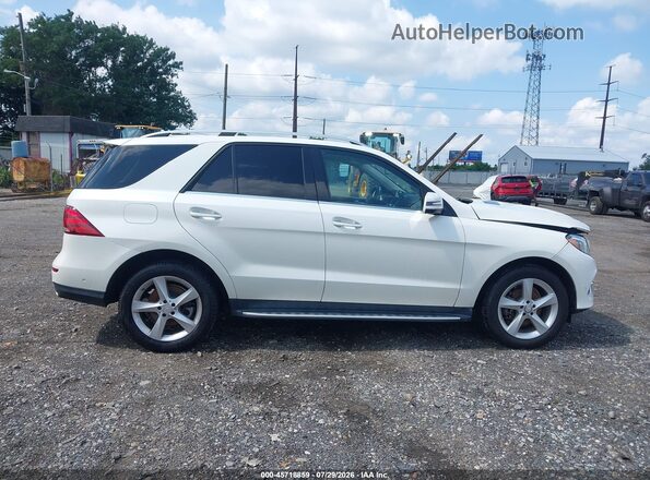 4JGDA5HB9HA846209 2017 MERCEDES-BENZ GLE 350 Белый Вид задней части салона