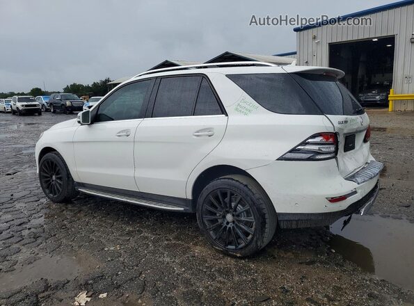 4JGDA5JB2HA994731 2017 MERCEDES-BENZ GLE White Задня ліва чверть