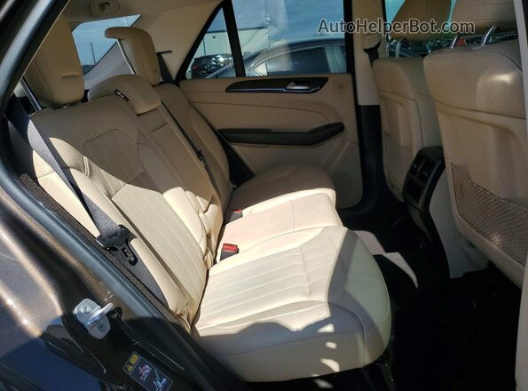 4JGDA5JB7HA816667 2017 MERCEDES-BENZ GLE Brown Rear interior view