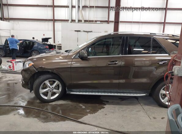 4JGDA5JB8GA781703 2016 MERCEDES-BENZ GLE 350 Brown Widok wnętrza 360 stopni