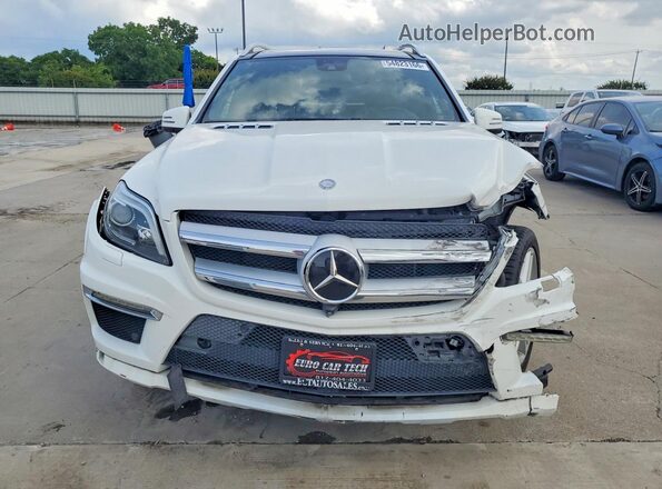 4JGDF7DE4GA659696 2016 MERCEDES-BENZ GL-CLASS White Widok z przodu