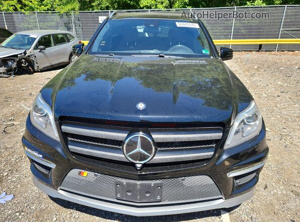 4JGDF7EE4GA673080 2016 MERCEDES-BENZ GL-CLASS Black Vista frontal