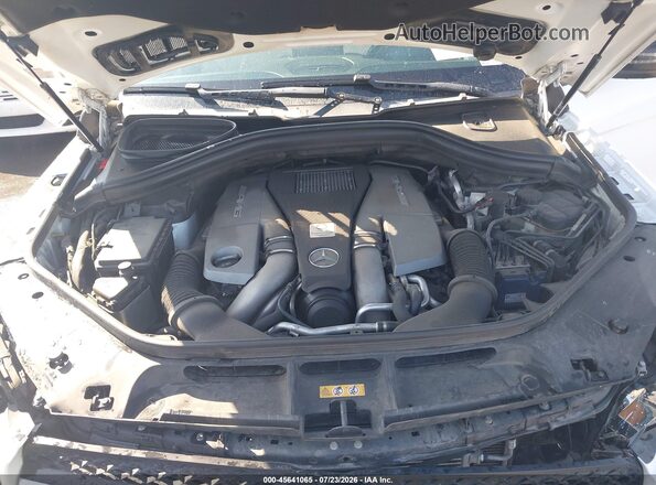 4JGDF7FE3HA851139 2017 MERCEDES-BENZ AMG GLS 63 Белый Вид сзади