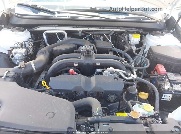 4S4BSANC2K3202623 2019 SUBARU OUTBACK White Вид ззаду