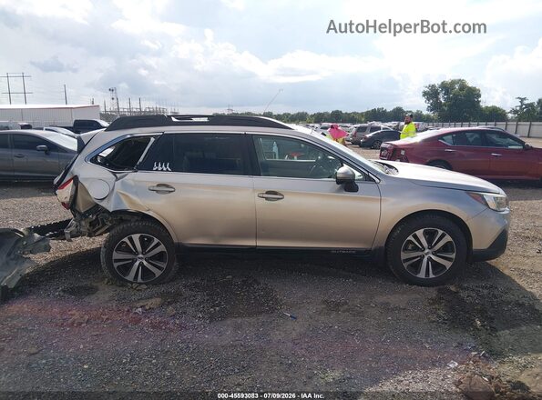 4S4BSANC2K3245228 2019 SUBARU OUTBACK Gray Սալոնի հետևի տեսք