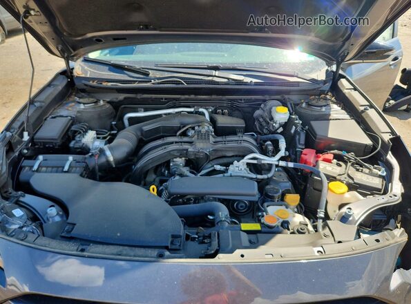 4S4BTAFC5S3195565 2025 SUBARU OUTBACK Серый Вид задней части салона