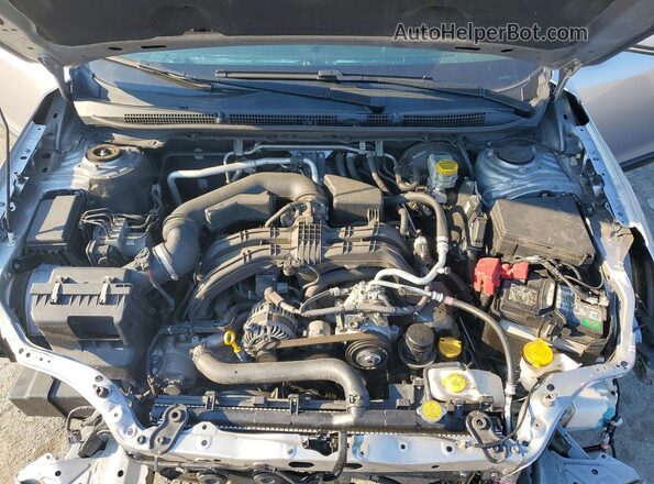 4S4BTANC0L3254010 2020 SUBARU OUTBACK Silver Սալոնի հետևի տեսք
