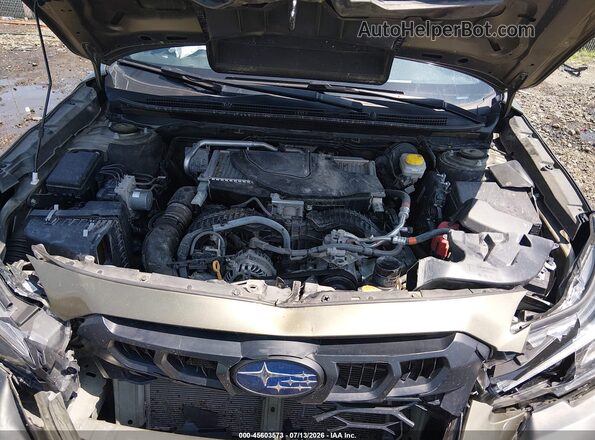 4S4BTGUD5R3171596 2024 SUBARU OUTBACK Green Вид ззаду