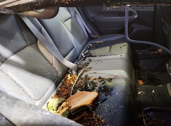 4S4SLDL69T3002626 2026 SUBARU FORESTER Черный Вид задних сидений