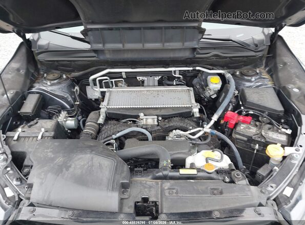 4S4WMAUDXR3424181 2024 SUBARU ASCENT Gray უკანა ხედი