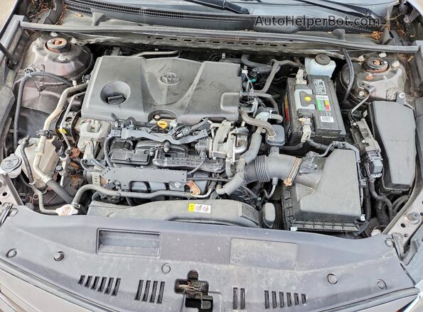 4T1B11HK3KU284541 2019 TOYOTA CAMRY Brown Rear interior view