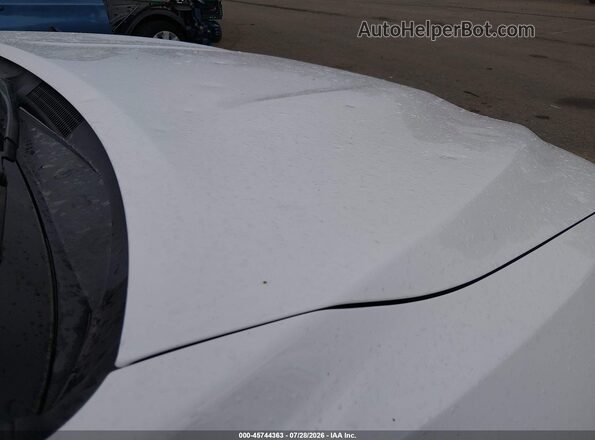 4T1B11HK5KU689431 2019 TOYOTA CAMRY White 