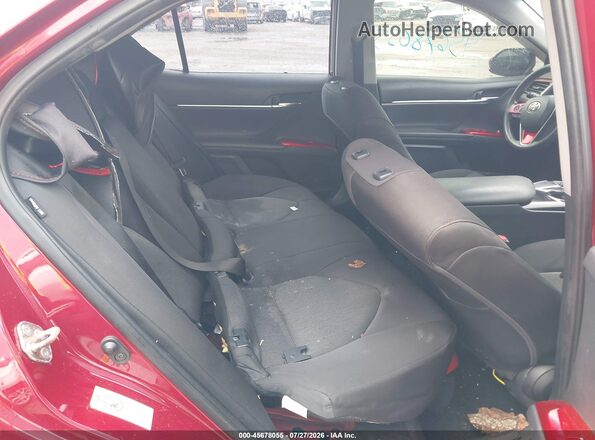 4T1B11HK9KU242553 2019 TOYOTA CAMRY Red Widok naklejki z numerem VIN