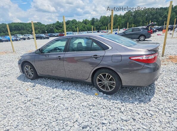 4T1BF1FK6GU161005 2016 TOYOTA CAMRY Gray უკანა მარცხენა