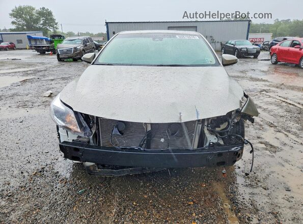 4T1BK1EB8HU251691 2017 TOYOTA AVALON Gold Vista frontal