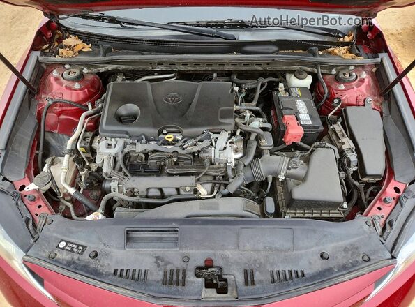 4T1C11AK0LU303286 2020 TOYOTA CAMRY Burgundy Սալոնի հետևի տեսք
