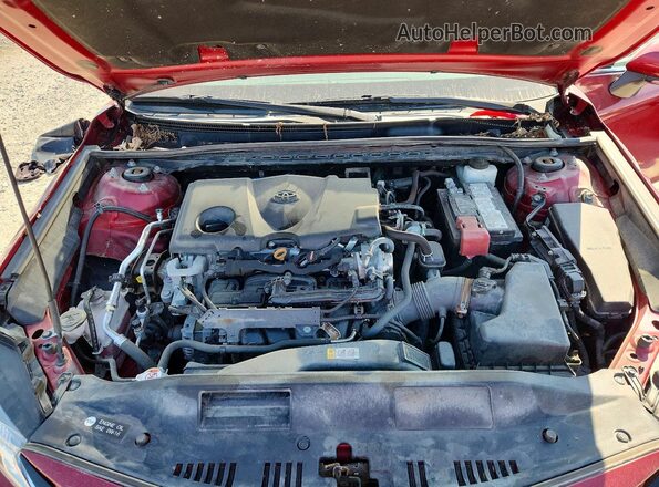 4T1C11BK4MU044740 2021 TOYOTA CAMRY Red Սալոնի հետևի տեսք