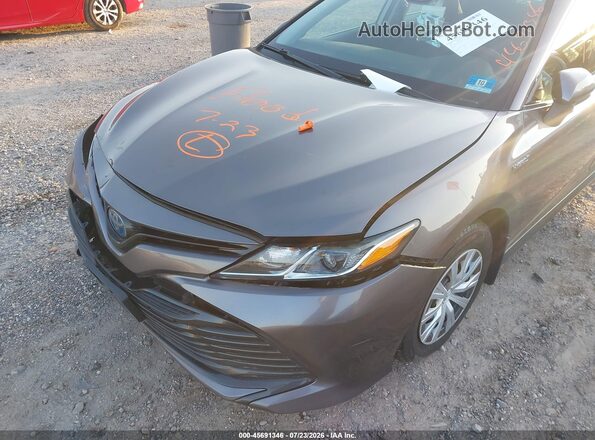 4T1C31AK0LU530116 2020 TOYOTA CAMRY Beige Widok wnętrza z tyłu