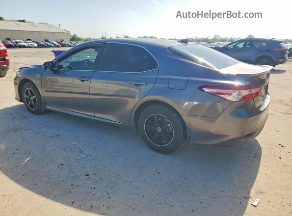 4T1C31AK6LU543274 2020 TOYOTA CAMRY Gray Հետևի ձախ
