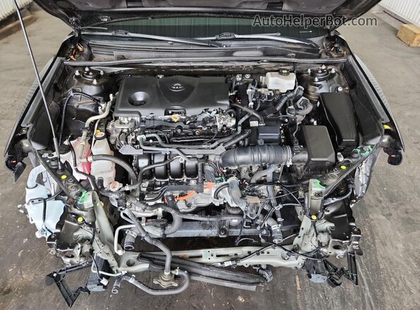 4T1C31AK6PU612325 2023 TOYOTA CAMRY Black VIN կոդի պիտակի տեսք