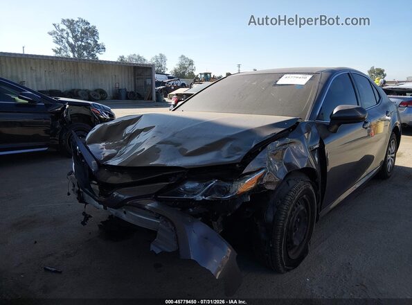 4T1C31AK7LU523213 2020 TOYOTA CAMRY Серый Вид спереди