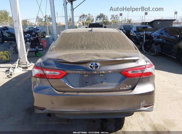 4T1C31AK7LU523213 2020 TOYOTA CAMRY Серый 