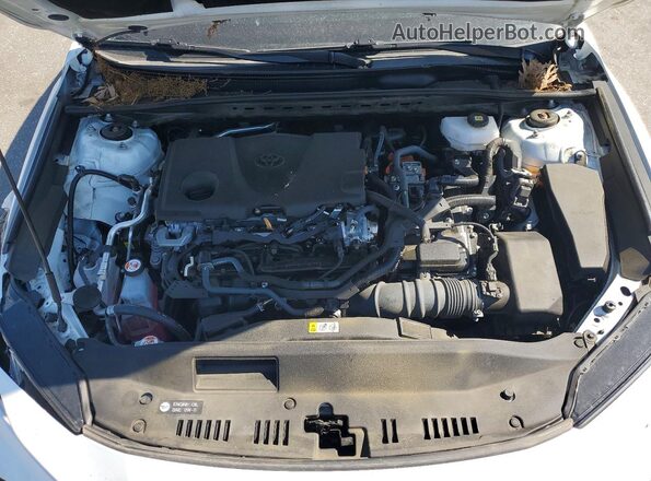 4T1DAACK4SU020275 2025 TOYOTA CAMRY Белый Вид задней части салона