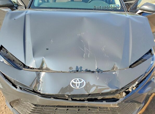 4T1DAACK8SU045017 2025 TOYOTA CAMRY Gray Vista interior trasera