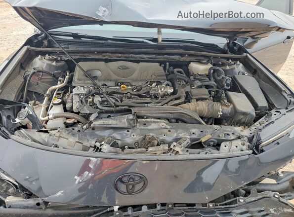 4T1DAACKXSU566983 2025 TOYOTA CAMRY Gray Вид задньої частини салону