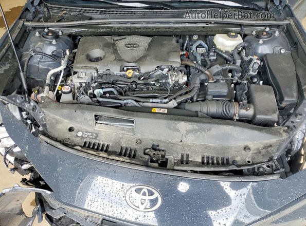 4T1DBADK4SU033846 2025 TOYOTA CAMRY Серый Вид задней части салона