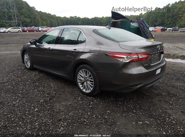 4T1F11AK4LU954224 2020 TOYOTA CAMRY Gray უკანა მარცხენა