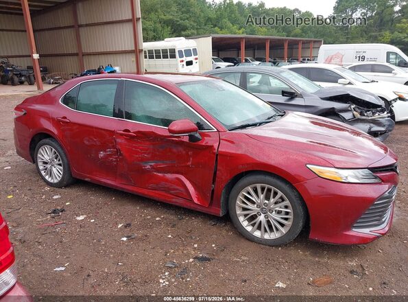 4T1F11AK9LU920005 2020 TOYOTA CAMRY Red Widok wnętrza z tyłu