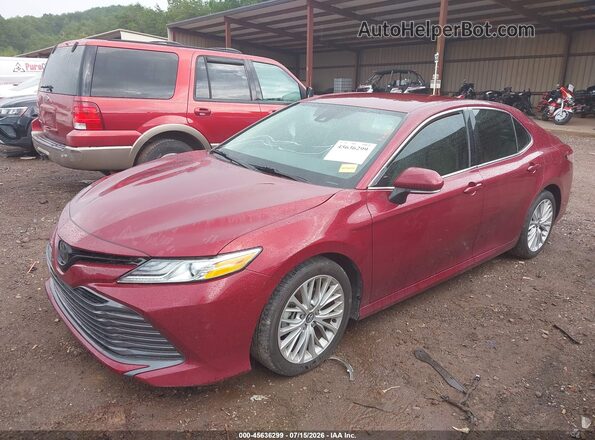 4T1F11AK9LU920005 2020 TOYOTA CAMRY Red Widok wnętrza 360 stopni