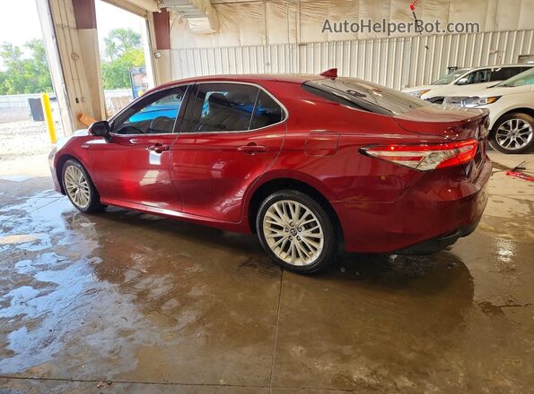 4T1F31AK1LU529294 2020 TOYOTA CAMRY Maroon უკანა მარცხენა