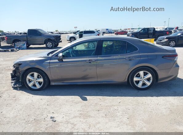 4T1F31AK1MU555895 2021 TOYOTA CAMRY Коричневый 