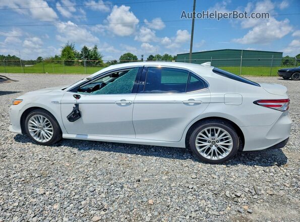4T1F31AK2LU536660 2020 TOYOTA CAMRY White Tył lewy