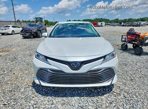 4T1F31AK2LU536660 2020 TOYOTA CAMRY White Widok z przodu