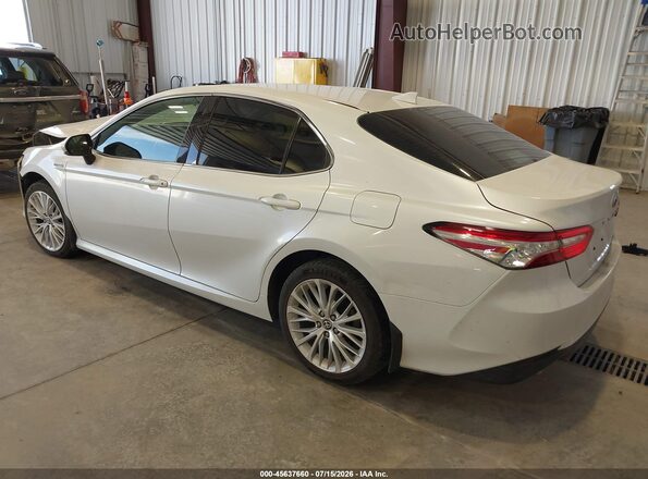4T1F31AK4LU535221 2020 TOYOTA CAMRY White Tył lewy
