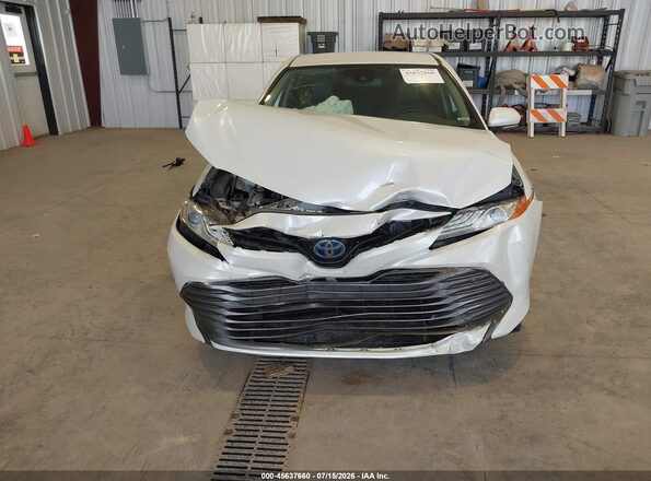 4T1F31AK4LU535221 2020 TOYOTA CAMRY White Widok z przodu