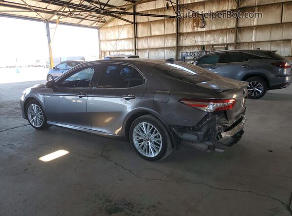 4T1F31AK8LU542947 2020 TOYOTA CAMRY Серый Задняя левая четверть