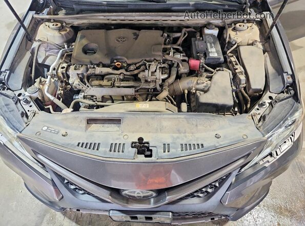 4T1G11AK7LU885159 2020 TOYOTA CAMRY Gray Вид задньої частини салону