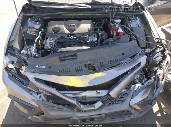 4T1G11AKXMU534876 2021 TOYOTA CAMRY Gray Widok z tyłu